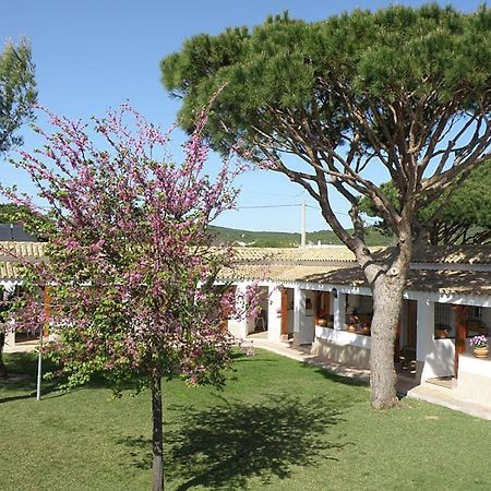 Hostal Las Acacias لوس كانيوس دي ميكا المظهر الخارجي الصورة