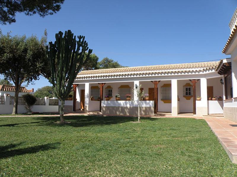 Hostal Las Acacias لوس كانيوس دي ميكا المظهر الخارجي الصورة