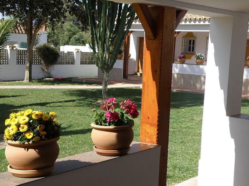 Hostal Las Acacias لوس كانيوس دي ميكا المظهر الخارجي الصورة