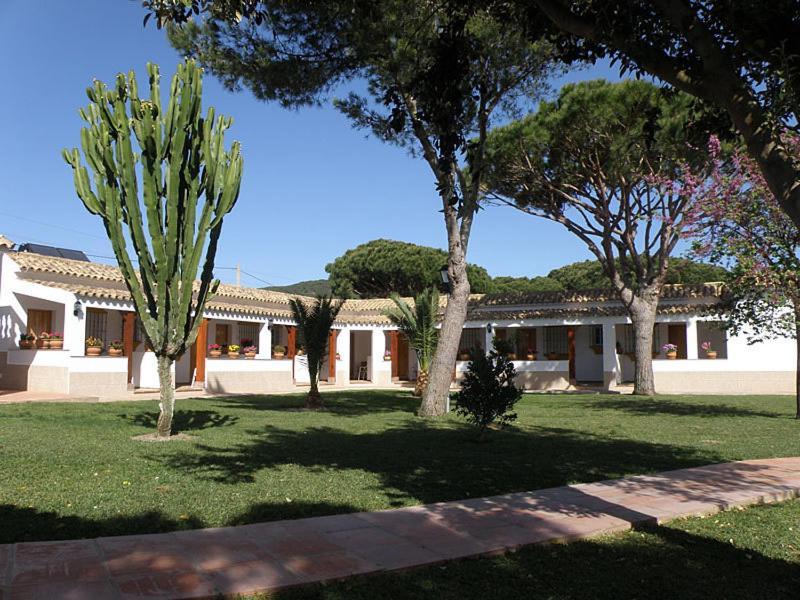 Hostal Las Acacias لوس كانيوس دي ميكا المظهر الخارجي الصورة