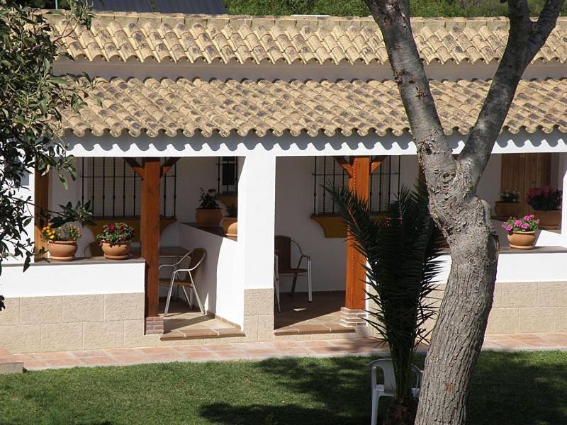 Hostal Las Acacias لوس كانيوس دي ميكا المظهر الخارجي الصورة